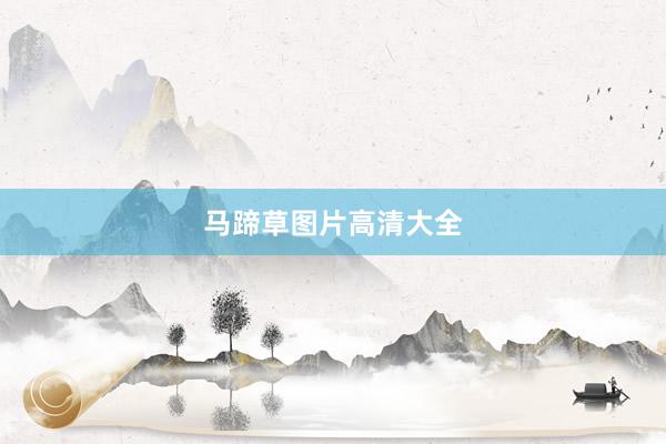 马蹄草图片高清大全