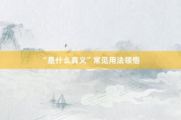 “是什么真义”常见用法领悟
